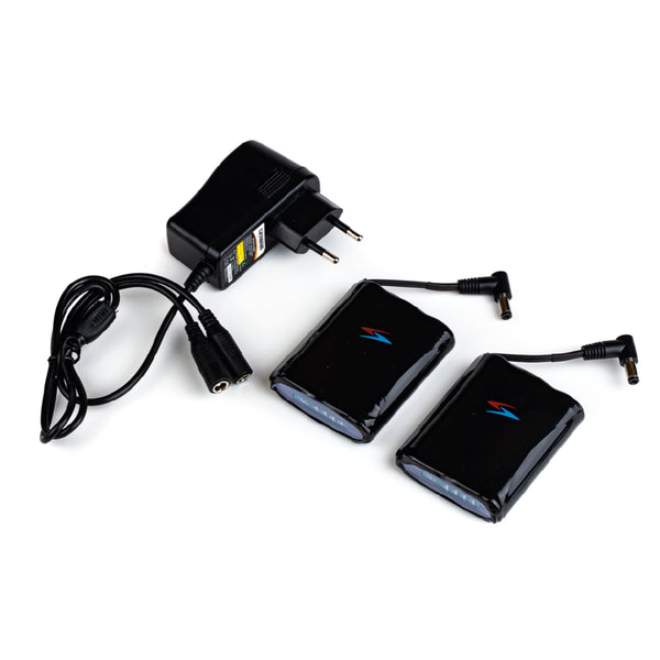 Richa Set Battery Gerbing 12V-2AH